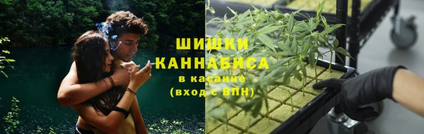 молекула духа Покров