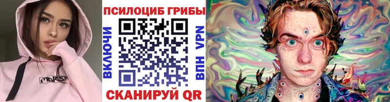 кракен онион Киселёвск Псилоцибиновые грибы Psilocybine cubensis